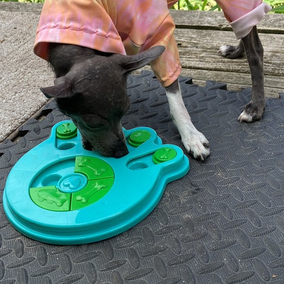 PUZZLE TOY *PAW SHAPE *DOG *CAT *IQ GAME *PUZZLE *HOST PICK *NWT - Picture 9 of 17